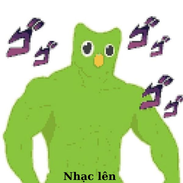 duolingo meme nghe nhạc