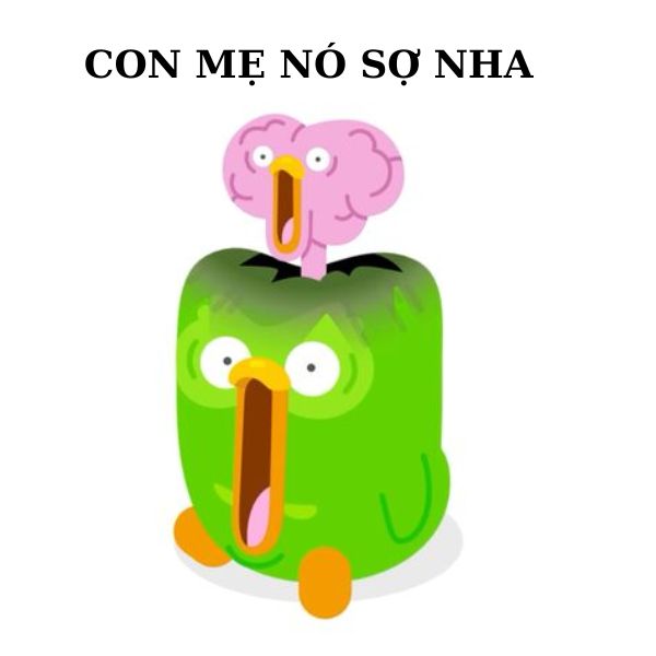 duolingo meme sợ nha