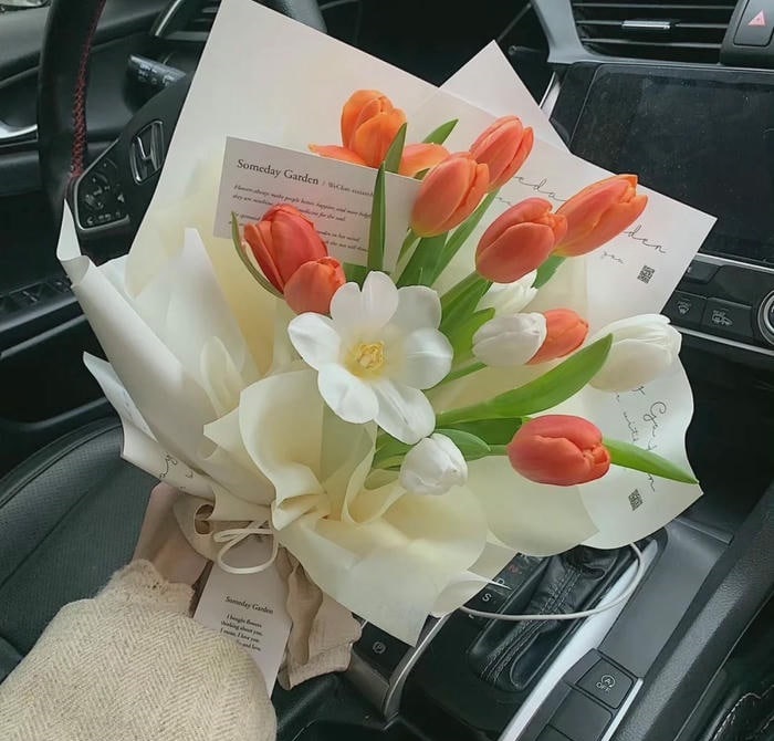 hình avatar hoa tulip 4k