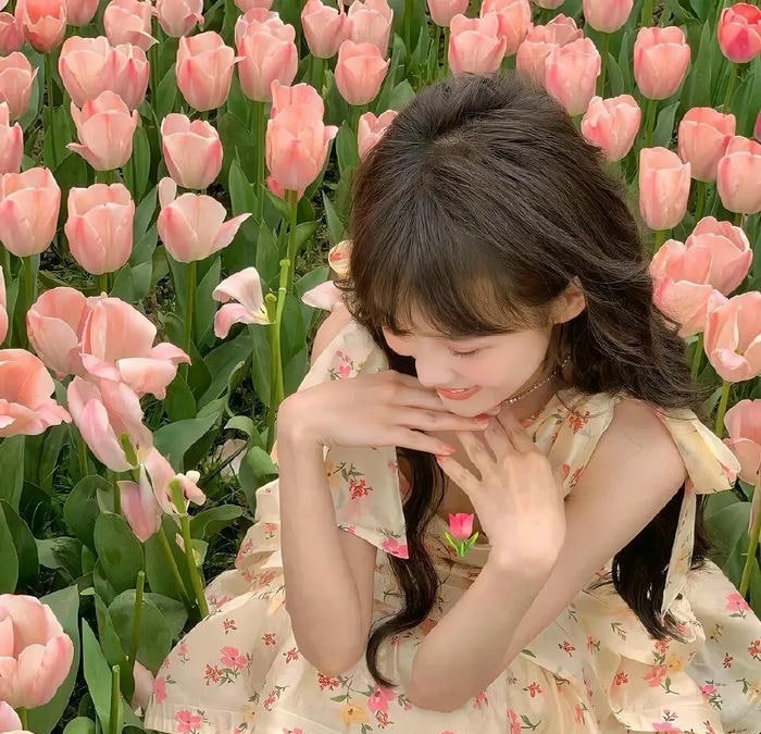 hình avatar hoa tulip cute đáng yêu