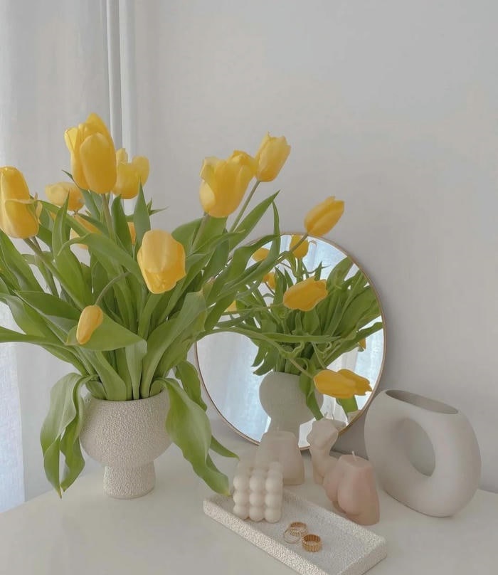 hình avatar hoa tulip đẹp nhất