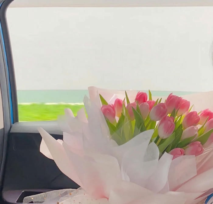 hình avatar hoa tulip full hd