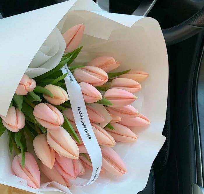 hình avatar hoa tulip siêu đẹp full hd
