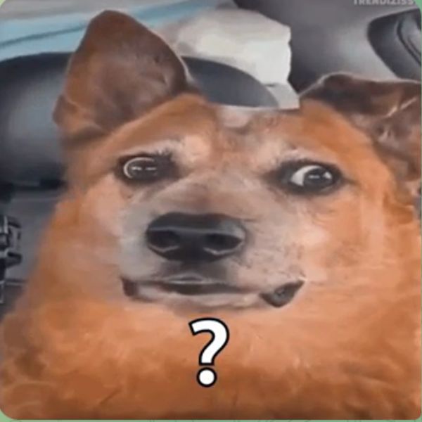 hình meme hỏi chấm chế