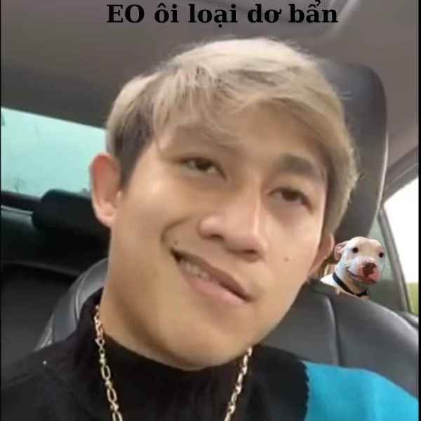 hình meme khinh bỉ bựa