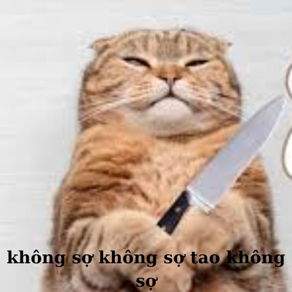 hình meme mèo cầm dao chế