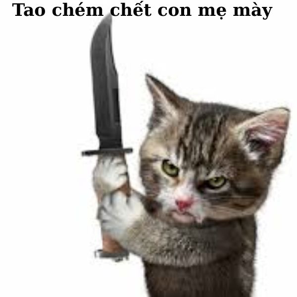 hình meme mèo cầm dao siêu bựa