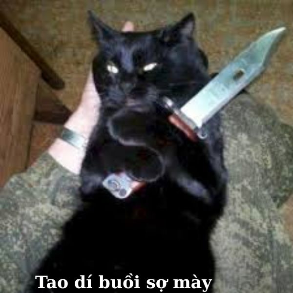 hình meme mèo cầm dao siêu hài