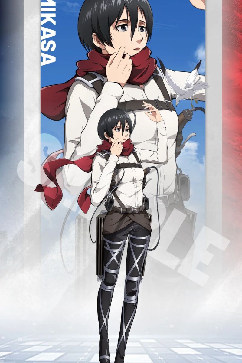 hình mikasa hd