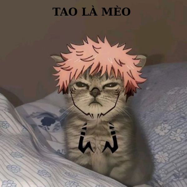 hình sukuna meme bựa