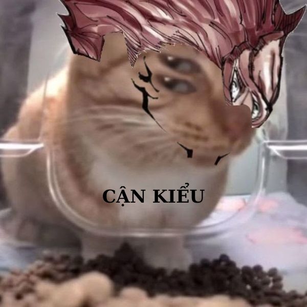 hình sukuna meme hài