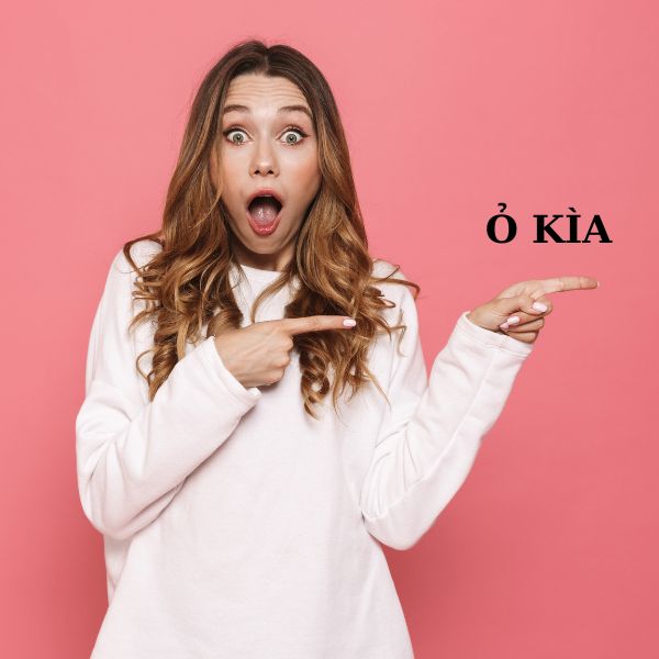 meme chỉ tay ô kìa