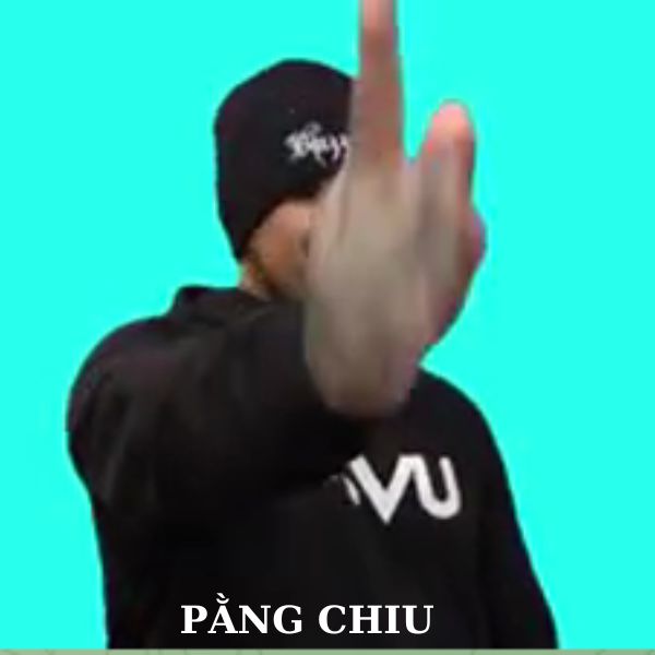 meme chỉ tay pằng chiu