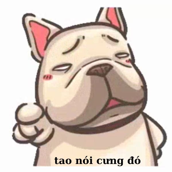 meme chỉ tay tao nói cưng