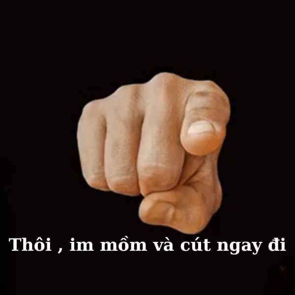 meme chỉ tay thôi im
