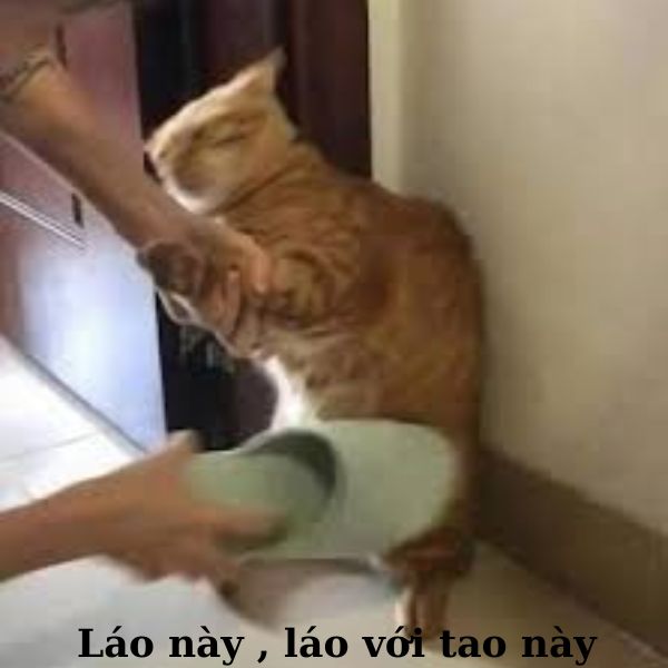 meme đánh nhau cầm dép đánh