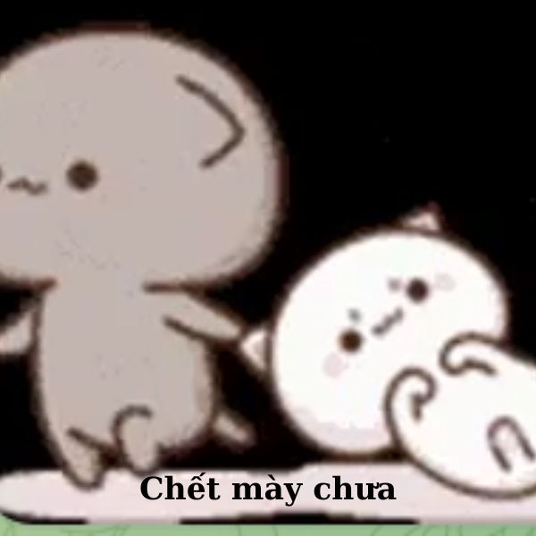 meme đánh nhau chết mày chưa