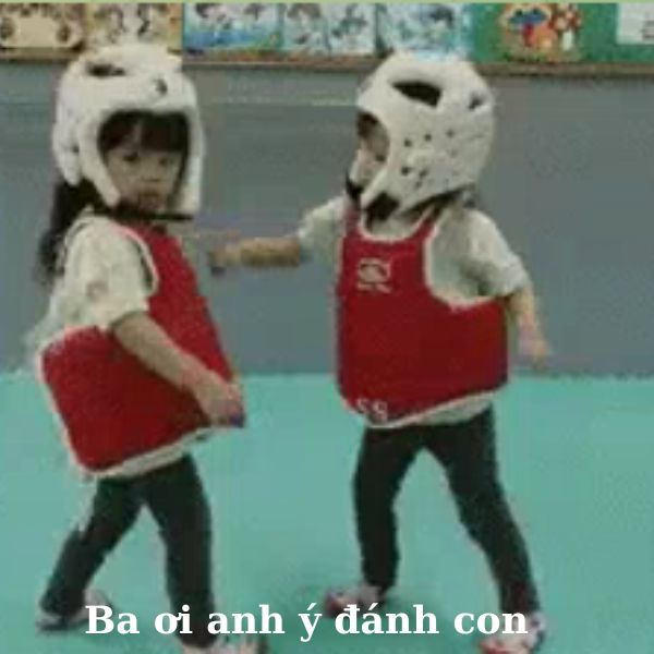meme đánh nhau đấu võ