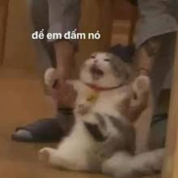 meme đánh nhau để em đấm nó