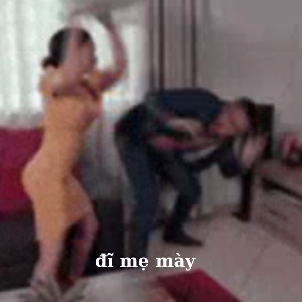 meme đánh nhau đĩ mẹ mày