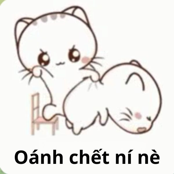 meme đánh nhau oánh chết ní