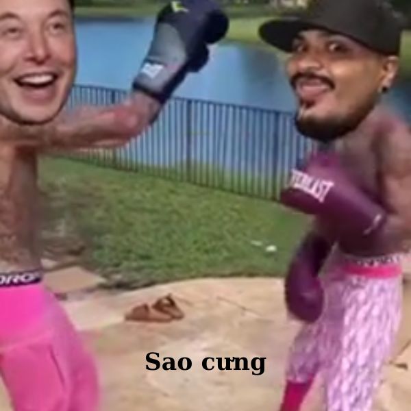 meme đánh nhau sao cưng