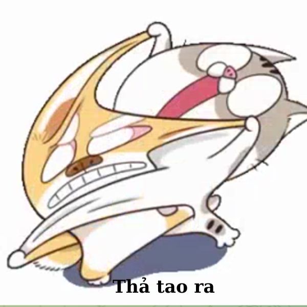 meme đánh nhau tím tái