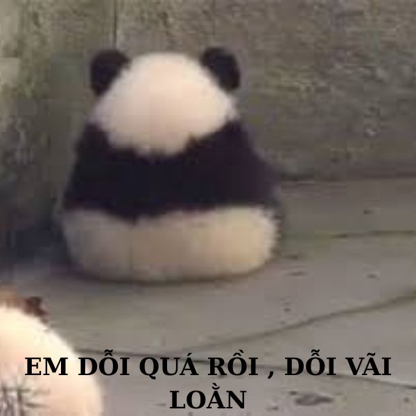 meme dỗi em dỗi