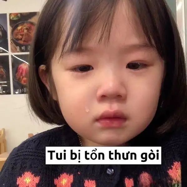 meme dỗi tui bị tổn thương