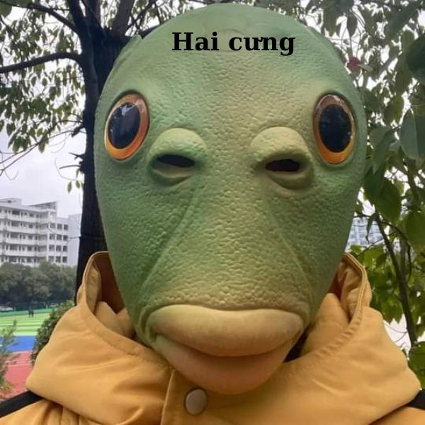 meme ếch xanh chào