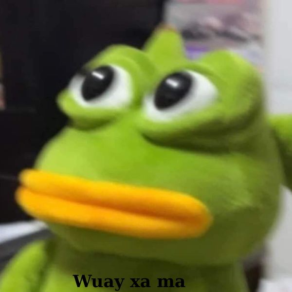 meme ếch xanh chợn mắt