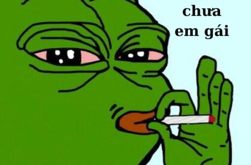 Gợi ý 60 meme ếch xanh có chữ đa dạng và hài hước nhât