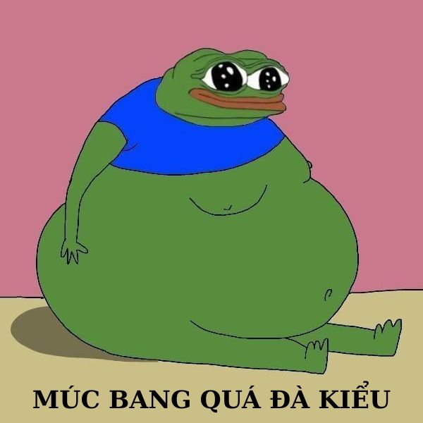 meme ếch xanh múc bag