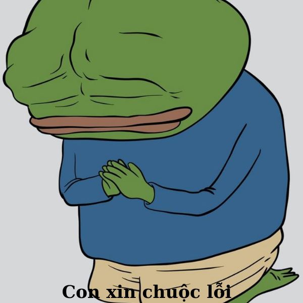 meme ếch xanh quỳ lậy