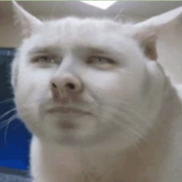 meme hài gốc già