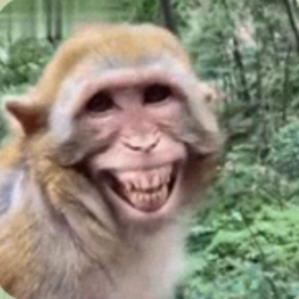 meme hài gốc khỉ đột