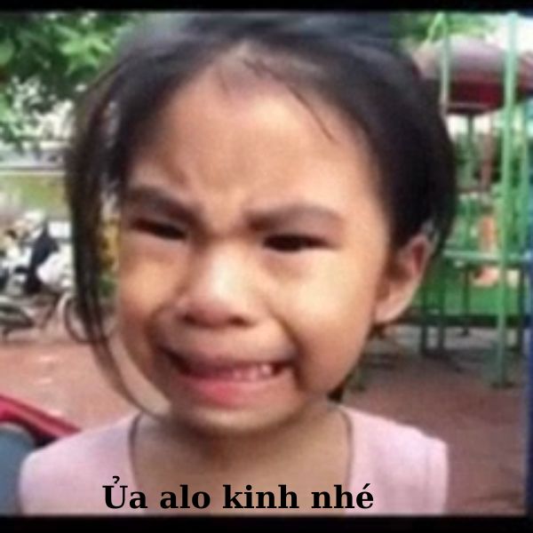 meme khinh bỉ cực hài