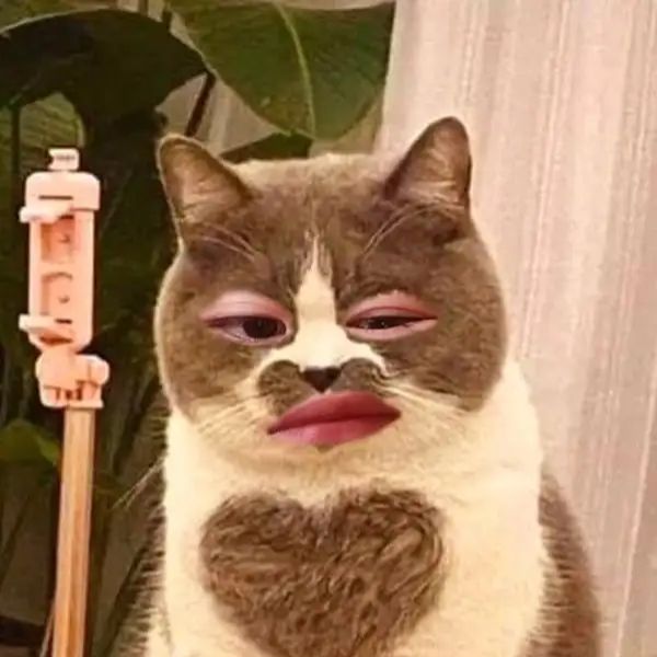 meme khinh bỉ hài