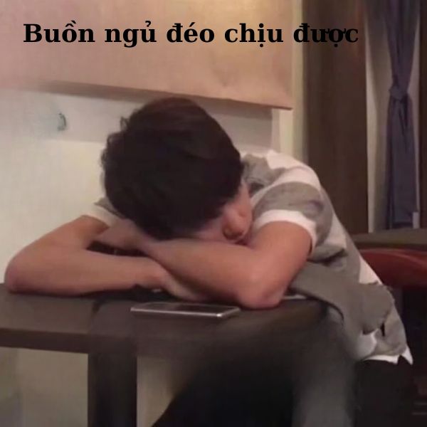meme ngủ bựa