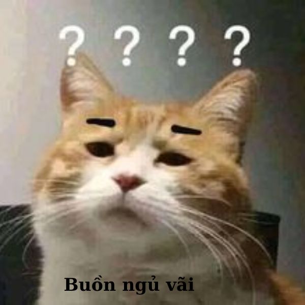 meme ngủ chế