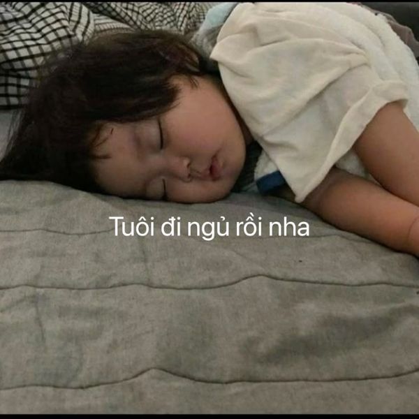 meme ngủ gật