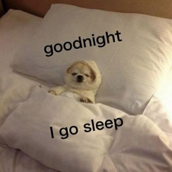 meme ngủ goodnight