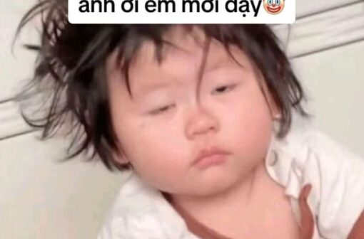 List 100 hình ảnh meme ngủ với biểu cảm bơ phờ mệt mỏi