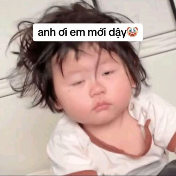 meme ngủ hài hước