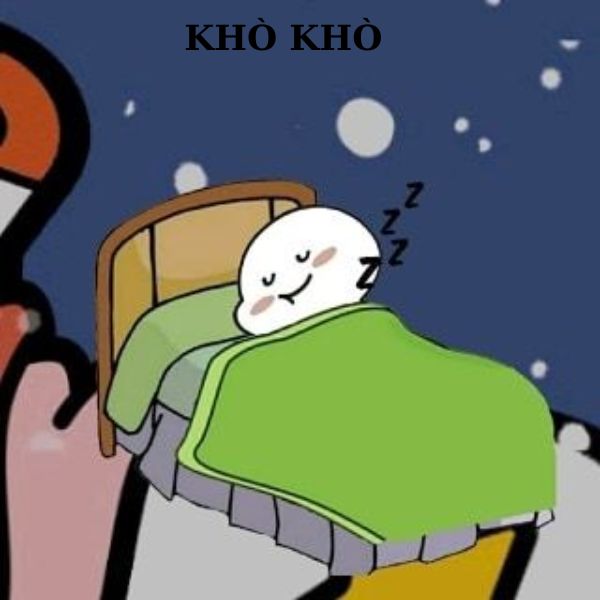 meme ngủ hài