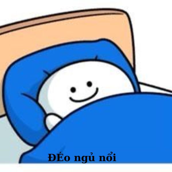 meme ngủ không nổi