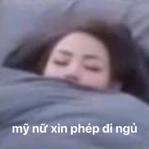 meme ngủ mỹ nữ
