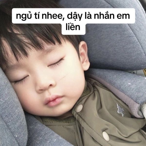 meme ngủ siêu hài