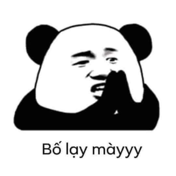 meme việt nam lậy mày