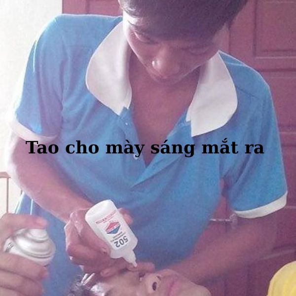 meme việt nam tao cho mày sangs mắt